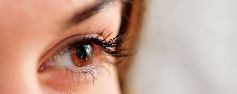 distichiasis trichiasis causes definition chirurgien ophtalmologue specialiste paupiere paris centre ophtalmologique ophtalmologie paris est distichiasis trichiasis causes definition chirurgien ophtalmologue specialiste paupiere paris centre ophtalmologique ophtalmologie paris est