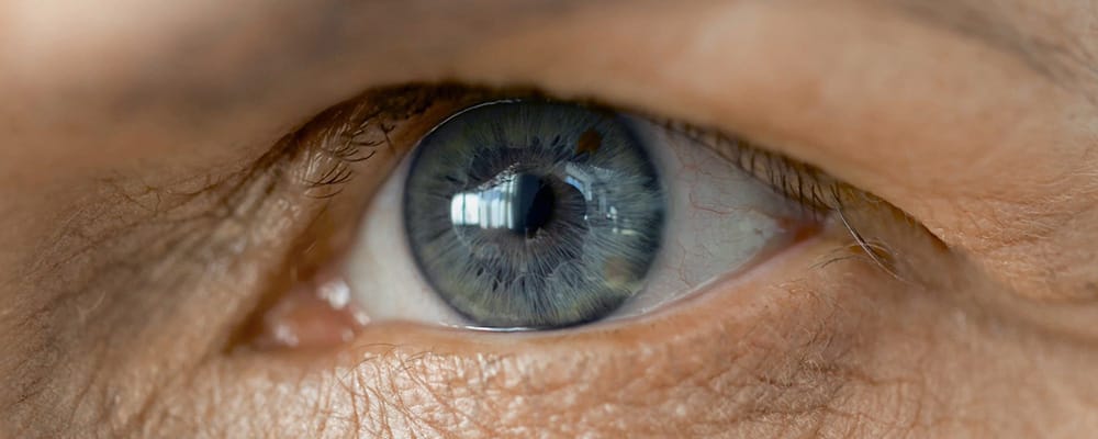 symptome dmla yeux definition dmla vision chirurgien ophtalmologue specialiste retine centre ophtalmologiste ophtalmologie paris est symptome dmla yeux definition dmla vision chirurgien ophtalmologue specialiste retine centre ophtalmologiste ophtalmologie paris est