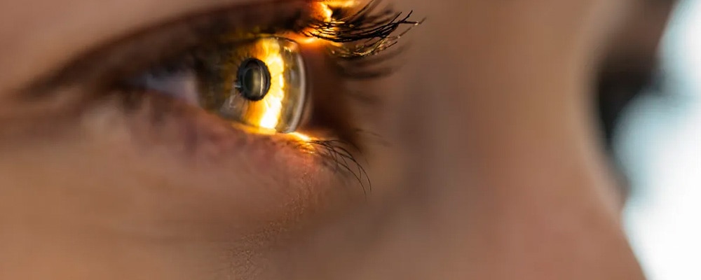 maladie de la retine de l oeil chirurgien ophtalmologue specialiste de la retine centre ophtalmologiste ophtalmologie paris est maladie de la retine de l oeil chirurgien ophtalmologue specialiste de la retine centre ophtalmologiste ophtalmologie paris est