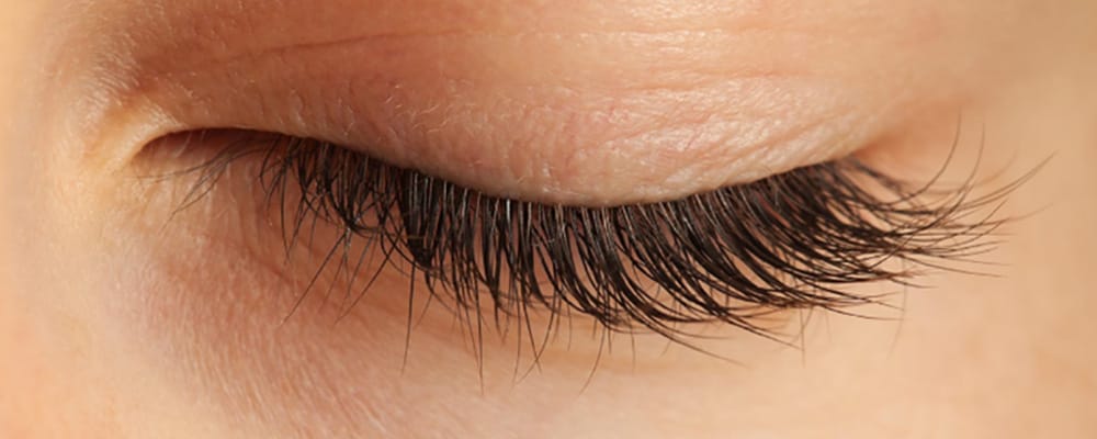 quelles sont les maladies des paupieres chirurgien ophtalmologue specialiste paupiere paris centre ophtalmologique ophtalmologie paris est quelles sont les maladies des paupieres chirurgien ophtalmologue specialiste paupiere paris centre ophtalmologique ophtalmologie paris est